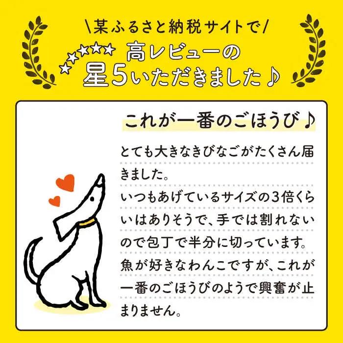 【12回定期便】【ペットフード】きびなご スティック 8袋 （生干し4袋/蒸干し4袋）五島市/浜口水産[PAI027] 犬 おやつ 国産 きびなご キビナゴ 干物 魚 煮干し にぼし 健康 カルシウム