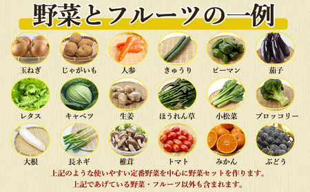 【定期便 12回コース】野菜のプロ40年が届ける 厳選野菜セット！ 野菜・フルーツ 15～16品目 詰め合わせ