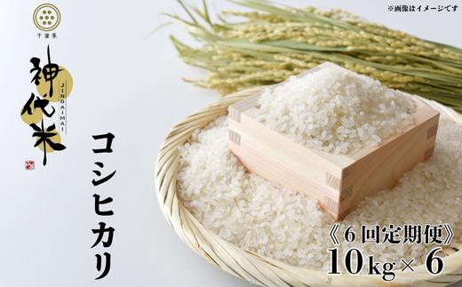 
            《6回定期便》神代米（コシヒカリ）　精白米　10kg ／ 米 こめ コメ ごはん ご飯 コシヒカリ こしひかり  令和7年産 新米 精米 10kg 定期便 送料無料
          
