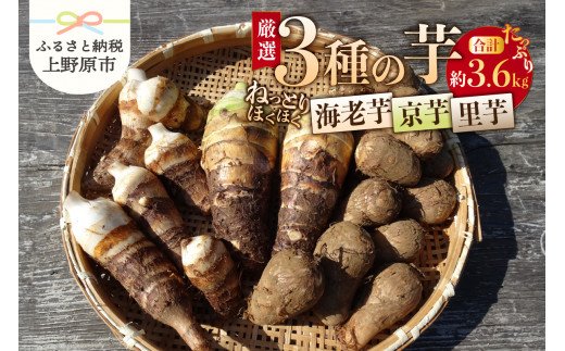
山梨県上野原市産 厳選３種の芋（里芋・京芋・海老芋）セット 各約1.2kg×3種
