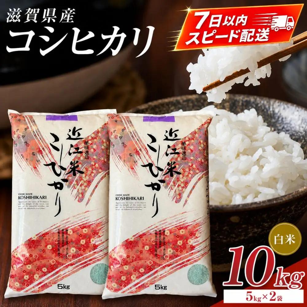 【令和7年産】近江米コシヒカリ白米10kg（5kg×2袋）