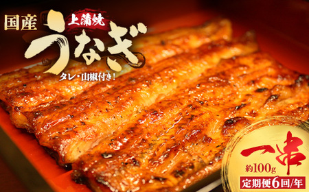 【6回定期便】うなぎ上蒲焼1串(100g前後)（2か月に1回のお届け）【老舗 ギフト 冷凍 うなぎ 鰻 ウナギ かばやき 串 タレ 山椒 千葉県 市川市】【12203-0308】