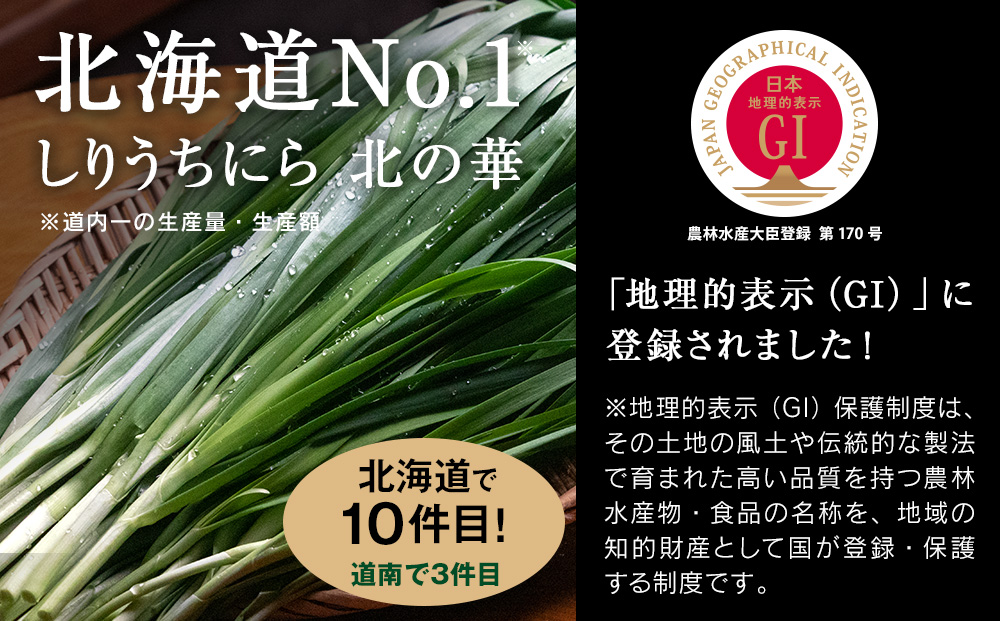 【2026年発送予約】 しりうちにら北の華 10束【JA新はこだて】
