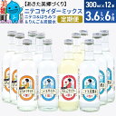 【ふるさと納税】《定期便6ヶ月》ニテコサイダーミックス 300ml×12本セット 4種（ニテコサイダー3本、りんごサイダー3本、はちみつサイダー3本、炭酸水3本）あきた美郷づくり