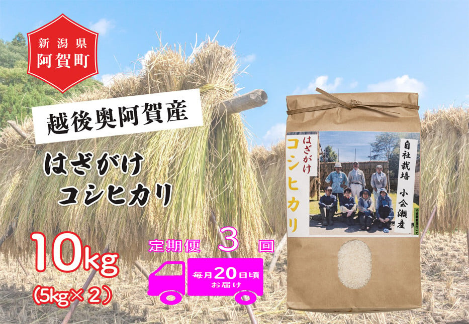 
            《令和6年産米》【定期便】3回　越後奥阿賀産はざがけ（天日干し）コシヒカリ　10kg（5kg×2袋）
          