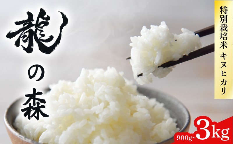 
                  パックご飯 900g~3kg 真空パック キヌヒカリ [白米/無洗米] 選べる 真空 小分け 個包装 パック 300g AM酵素農法 落ち葉農法 特別栽培米 減農薬 お米 米 コメ ごはん ご飯 長期保存 6カ月 パックライス 便利 備蓄 非常食 保存食 防災食品 アウトドア キャンプ 国産 京都 京都府 南丹市産 吉田農園 龍の森 5000円
                