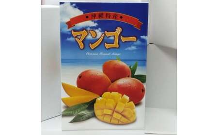 ★【先行受付】【2025年発送】アップルマンゴー 秀品 南城市 約2kg (3～5玉)