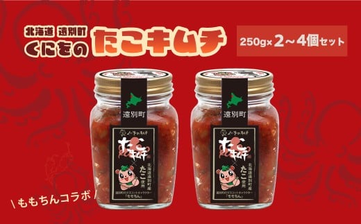くにをのたこキムチ250g×４個セット