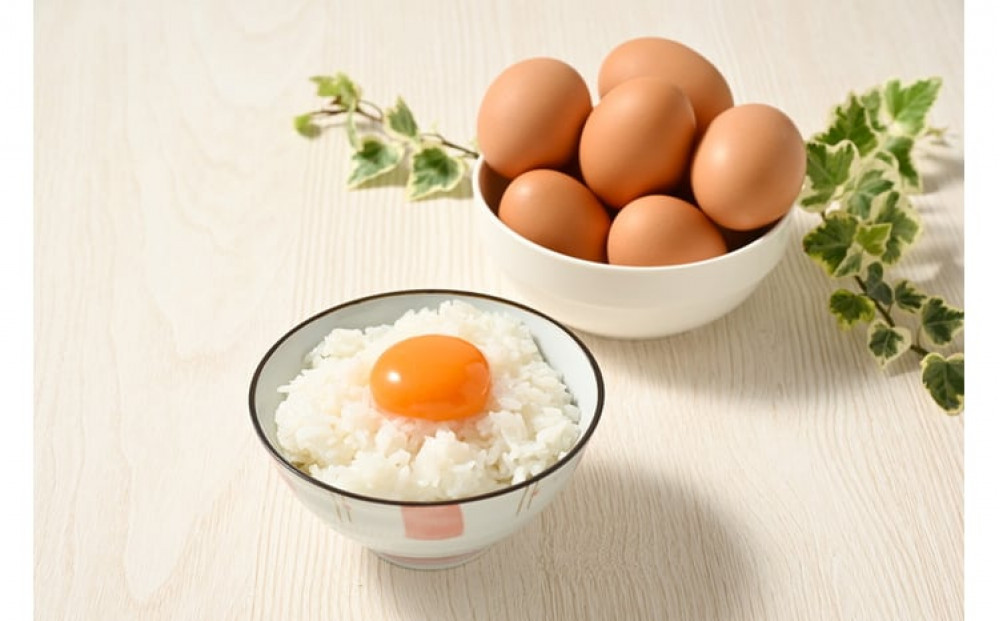 料理人も「うまい！」と絶賛　昔の味たまご 30個入り ｜ 卵 鶏卵 玉子 たまご 生卵 国産 濃厚 コク 卵かけご飯 旨味 旨み