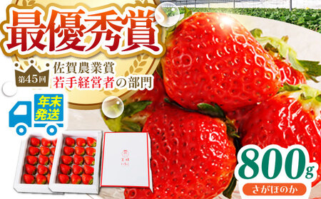 【先行予約】【農薬0への挑戦】【年末発送】王様のいちごさがほのか400g×2箱【むらおか農園】HAF029 いちご 果物 フルーツ