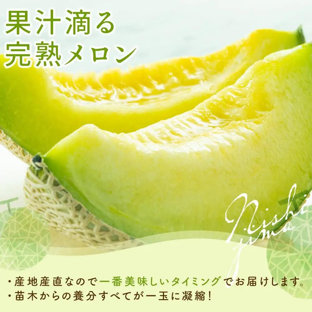 【先行予約】メロンとイチゴセット（2027年2月～発送）めろん いちご  フルーツ