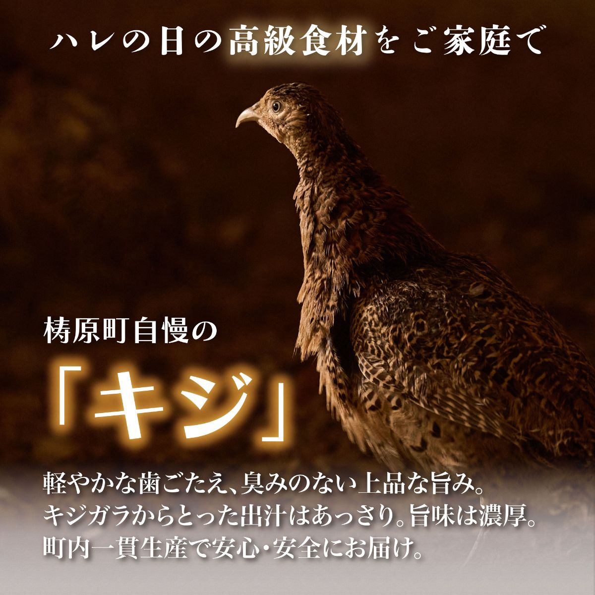 四万十川の源流域で育った自慢のキジ すき焼きセット 希少キジ肉300g／特製キジすきスープ300ml（株式会社四万川雉生産部）【K004】高級食材 希少肉 高知県産 冷凍便