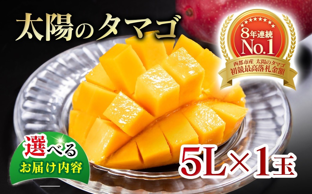 【選べる内容】最高級ブランド『太陽のタマゴ』5Lサイズ1個入り【糖度15度以上】宮崎県西都市産完熟マンゴー 宮崎完熟マンゴー 果物 フルーツ 甘い【先行予約】2027年発送＜68-9a＞＜ 68-8b＞