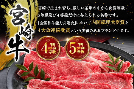 宮崎牛 ビーフジャーキー 20袋 (30g×20袋) おつまみ 宮崎県産