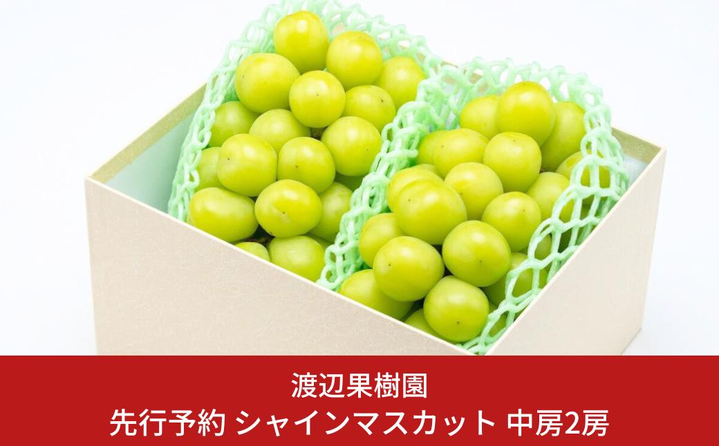 
            先行予約 中房シャインマスカット2房 (約1kg) 令和8年度 贈答用 シャインマスカット 新潟県 三条市産 ぶどう [渡辺果樹園] 【018S031】
          