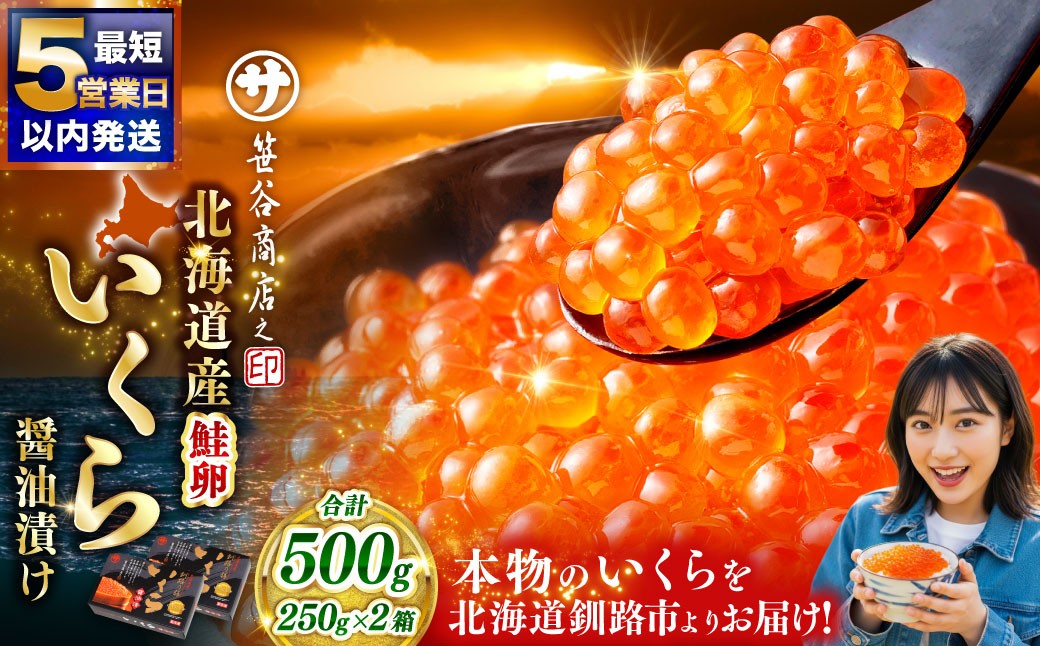 笹谷商店　北海道産いくら醬油漬250ｇ×2個セット