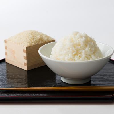 ふるさと納税 智頭町 【毎月定期便】【食味鑑定士厳選】鳥取県産 コシヒカリ5kg(5kg×1袋) 精米全6回 |  | 03