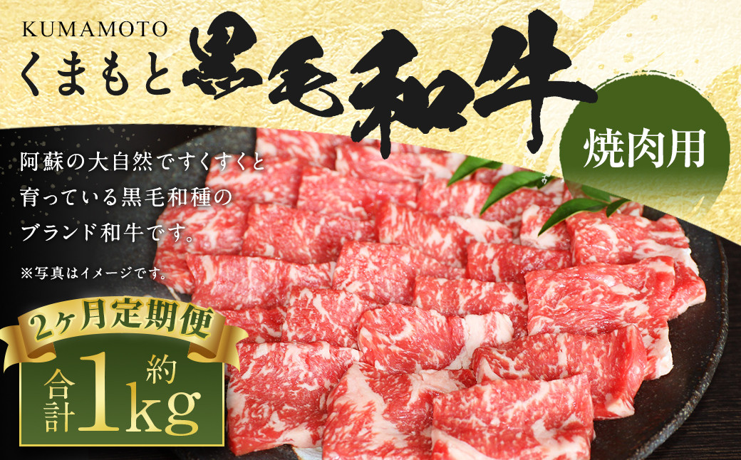 
【定期便2回】くまもと 黒毛和牛 焼肉用 約500g
