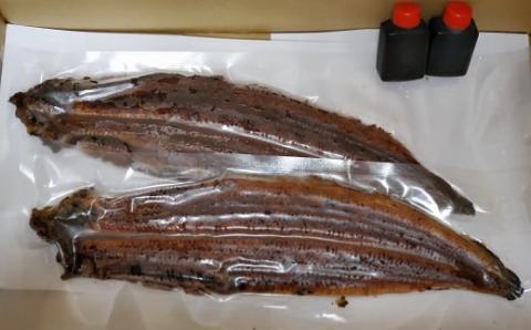【隔月3回定期便】 国産 うなぎ 蒲焼 2尾 （460g ～ 500g） と 特製タレ 2個 セット 鰻 ウナギ 蒲焼き うなぎ蒲焼 セイロ蒸し せいろ蒸し タレ付 冷凍
