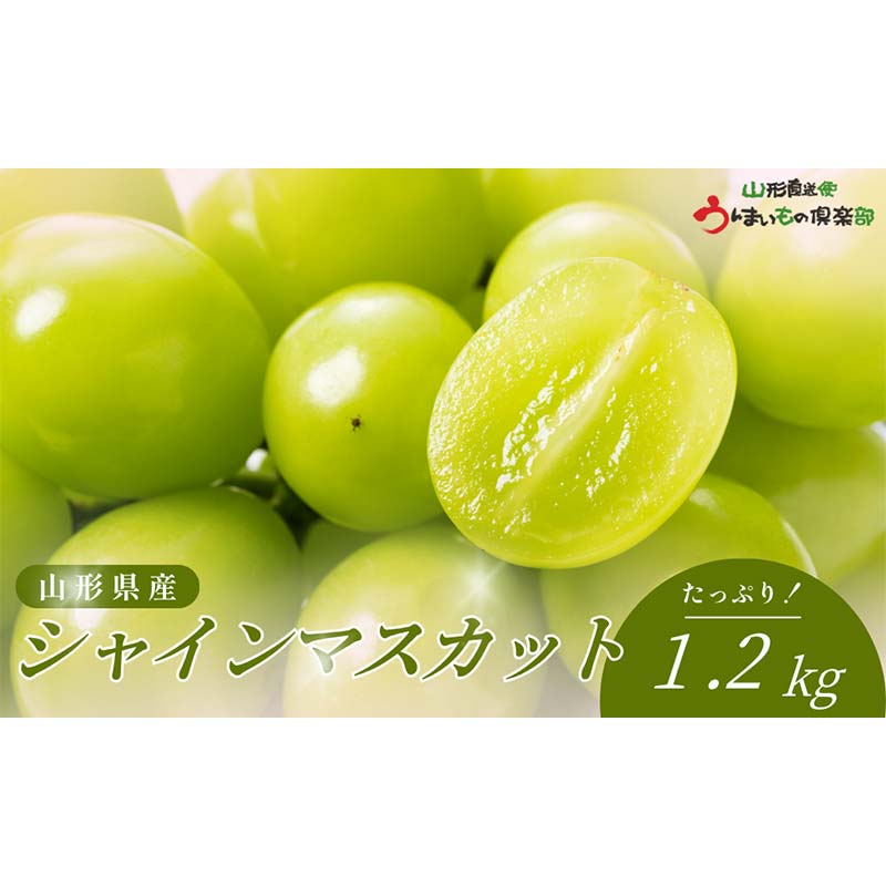 【ふるさと納税】 【2026年9～10月発送】 シャインマスカット 2房 FSY-2779