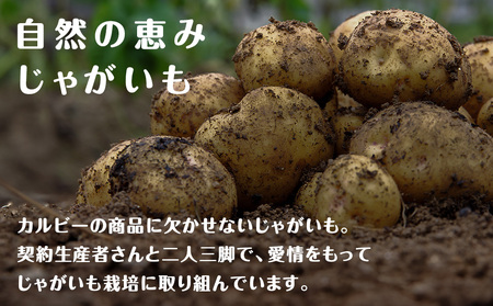 カルビーポテトチップス＜うすしお＞16袋入×1箱《北海道工場製造》