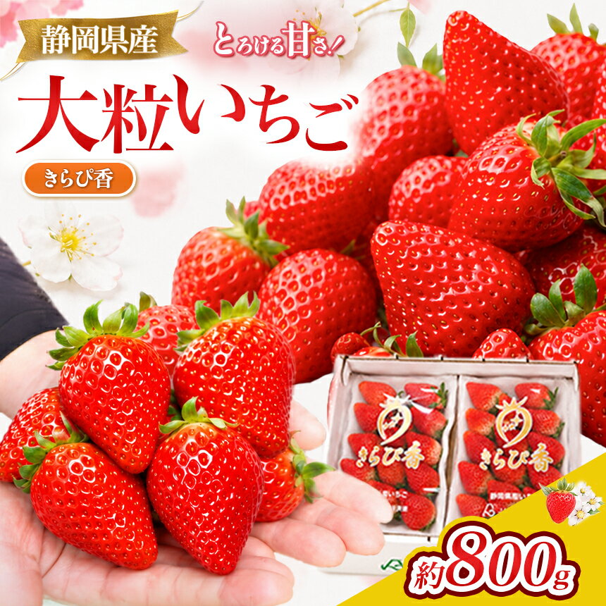 【ふるさと納税】【先行予約/数量限定】希少いちご！名産地 伊豆のきらぴ香（約400g×2パック）| 果物 フルーツ イチゴ 苺 期間限定 伊豆の国 静岡 静岡県