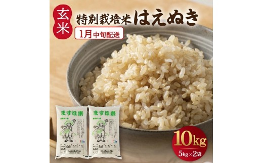 1月中旬配送／令和8年産【玄米】　特別栽培米『はえぬき』 10kg(5kg×2袋)［減農薬・減化学肥料］ MA SB1145