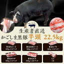 【ふるさと納税】かごしま黒豚半頭 22.5 kg【5回定期便】 生産者直送 鹿児島黒豚 鹿児島県産黒豚 鹿児島産黒豚 六白黒豚 バークシャー ロース 肩 バラ ウデ モモ ヒレ 黒豚農場 自社牧場 豚肉 みかく亭 薩摩八重ファーム しゃぶしゃぶ とんかつ すき焼き ミンチ ハンバーグ