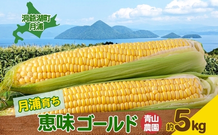とうもろこし めぐみゴールド 甘い 北海道産 とうもろこし【5kg】【先行予約】