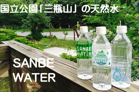 非常食になるおいしいハンバーグと三瓶山の天然水セット【レトルト ハンバーグ 180g 固形量 120g 8個 天然水 500ml 6本 手作り デミグラスソース 水 ペットボトル 長期保存 セット】