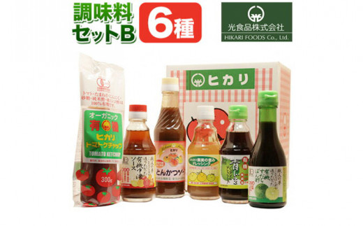 有機 調味料 セットB 6種 光食品 株式会社 《30日以内出荷予定(土日祝除く)》無添加 調味料 バラエティーセット 中農ソース とんかつソース ケチャップ ドレッシング ノンオイル 無農薬栽培 徳島県 上板町