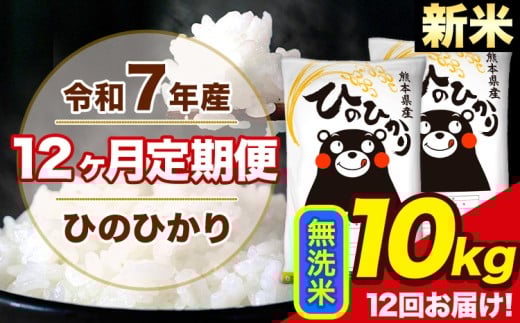 新米 令和7年産【12ヶ月定期便】ひのひかり 無洗米 10kg 5kg×2袋 計12回お届け 熊本県産 こめ コメ 白米 精米 荒尾市 ひの 米 定期 《1月から出荷開始》