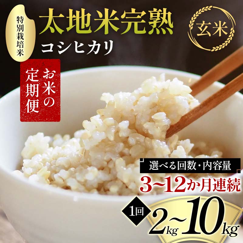【ふるさと納税】＼選べる回数・内容量／ お米の定期便 特別栽培米 太地米完熟 【こしひかり】 玄米 2kg 3kg 5kg 10kg × 3か月 6か月 9か月 12か月 ブランド米 お米 精米 白米 人気 F7X-0368var