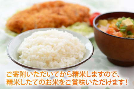 【令和7年産・新米】【白米10kg×1袋】福井県産 コシヒカリ10kg ～本原農園からまごころコメて～ 【お米 こしひかり 白米 玄米 10キロ 選べる 精米 ブランド米 ごはん ご飯 おいしい ふる