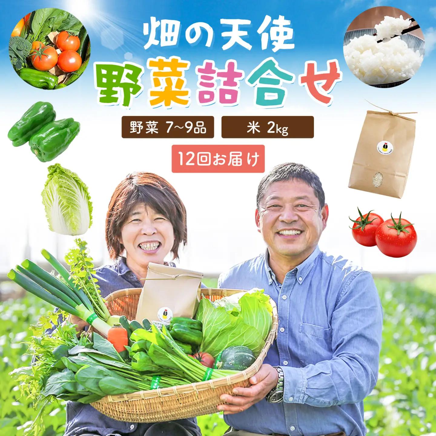 【12ヶ月定期便】野菜 詰合せ 7～9品 米 2kg 12回《お申込み翌月から出荷》 畑の天使