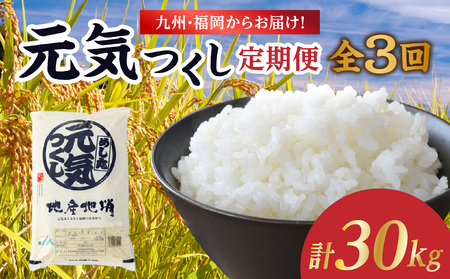 九州・福岡からお届け！ブランド米「元気つくし」定期便 10kg(5㎏×2)【全3回】 お米 米 コメ 白米 特A 直送 お弁当 おにぎり 炊きたて ツヤ 粘り もちもち 弾力 卵かけご飯 福岡県 八女市 072-T154