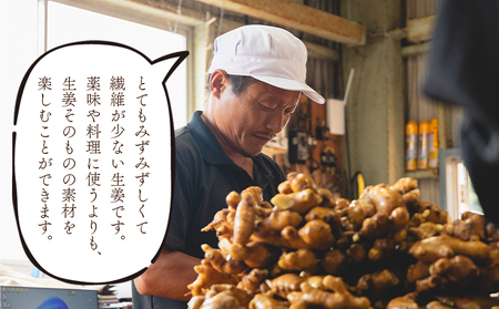 生姜 4kg 香南市産 別役の生姜 - しょうが ショウガ ジンジャー 薬味 調味料 国産 株式会社べっちゃく 高知県 香南市 bc-0002