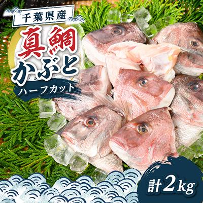 ふるさと納税 館山市 真鯛かぶと ハーフカット 2尾分×2パック 計2kg