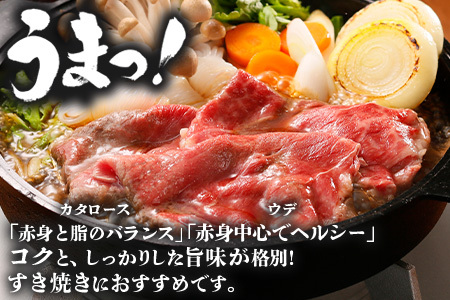 鹿児島黒牛すきやきセット（D-101）