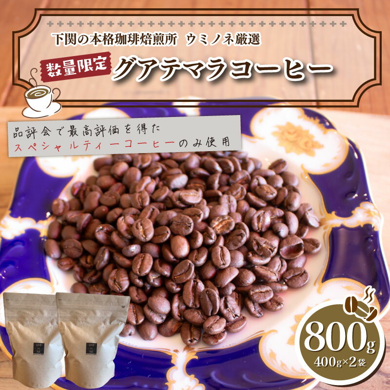 【ふるさと納税】 訳あり コーヒー 粉 800g ( 400g × 2袋 ) グアテマラ 珈琲 ハンドドリップ 自家焙煎 焙煎 スペシャルティコーヒー 選べる 煎り方 深煎り 中煎り 浅煎り 飲料 限定 おうち時間 下関 山口