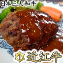 【ふるさと納税】近江牛オリジナルハンバーグの冷凍詰合せ【1,100g（110g×10個）】【国産】