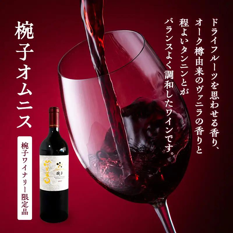 ワイン 限定 椀子ヴィンヤードを味わう贅沢 2本 セット ワイン