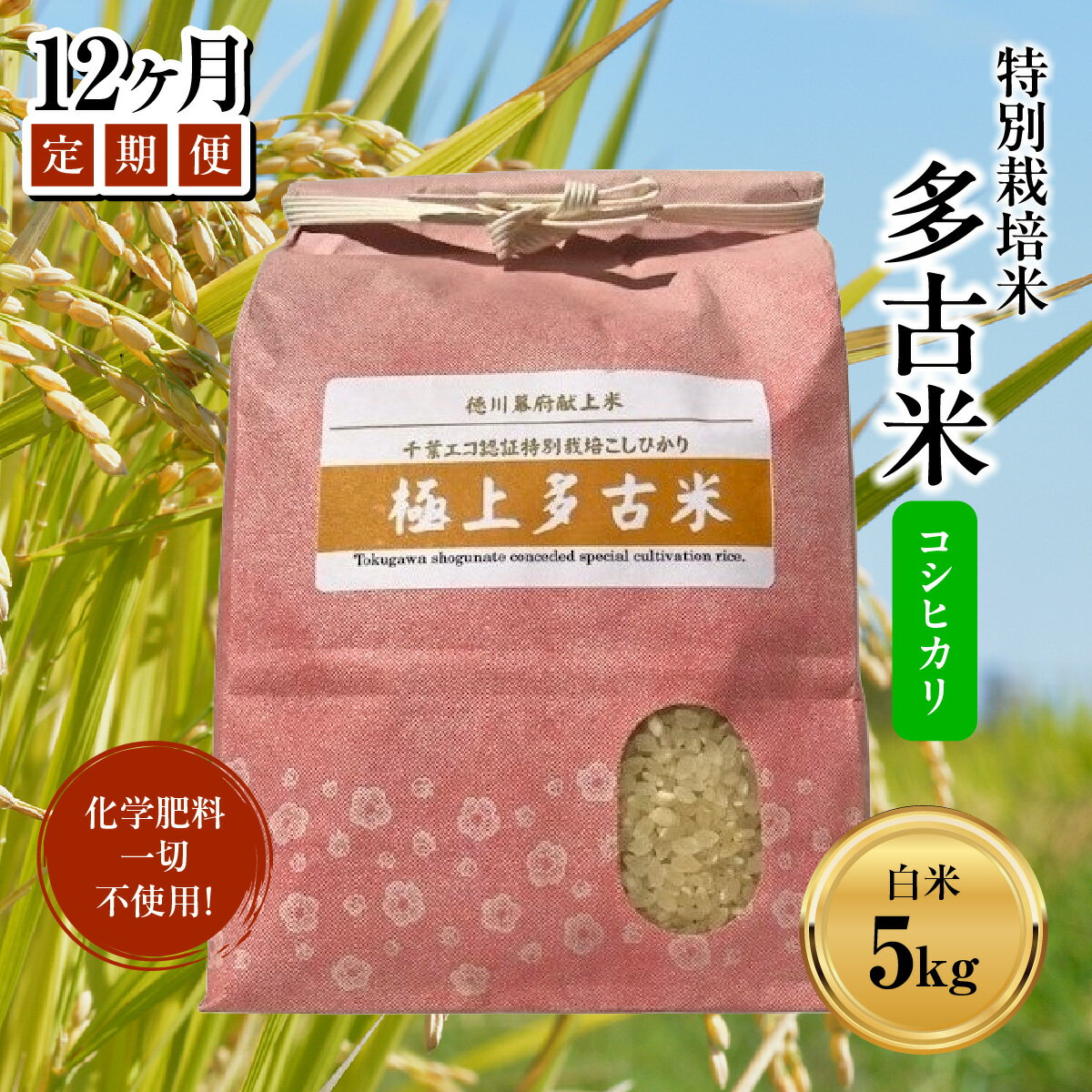 【ふるさと納税】【定期便】化学肥料一切不使用！特別栽培米多古米「コシヒカリ」白米5kgx12回 TAKJ006 / 千葉県産 多古町 多古米 コシヒカリ 米 精米 こめ 送料無料
