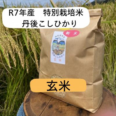 ふるさと納税 京丹後市 令和7年産　丹後こしひかり　玄米5kg【特別栽培米】新米 京都の農家から直送もっちりおいしい