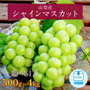 【ふるさと納税】【2025年発送】シャインマスカット 500g 1kg 2kg 4kg リピート続出! 山梨産 シャインマスカット 1房 ~ 9房 選べる内容量 _フルーツ 果物 くだもの ぶどう 葡萄 マスカット 農家直送 朝採れ ふるさと 【配送不可地域：離島、沖縄県】