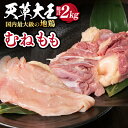 【ふるさと納税】【数量限定】熊本県産 天草大王 地鶏 計2kg ( もも ・ むね ) 各1kg 鶏肉 小分け 国産 九州産 山都町 もも むね セット 地鶏 とりにく【あそ大王ファーム株式会社】[YCF002]