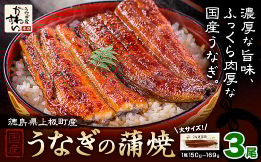 うなぎ屋かわすい 国産うなぎの蒲焼 計3尾 (1尾150g-169g) 川口水産株式会社《30日以内に出荷予定(土日祝除く)》徳島県 上板町 鰻 うなぎ ウナギ 鰻の蒲焼き 蒲焼 蒲焼き 国産 k-10