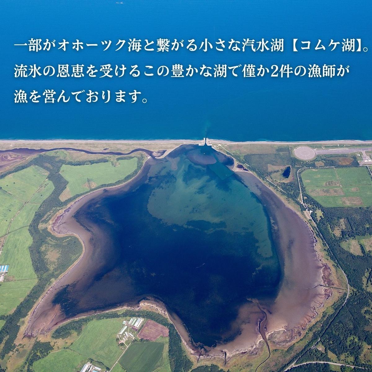 20-323 生 うに 紋別コムケ湖産 ミョウバン不使用 100g（100g×1個）_イメージ3