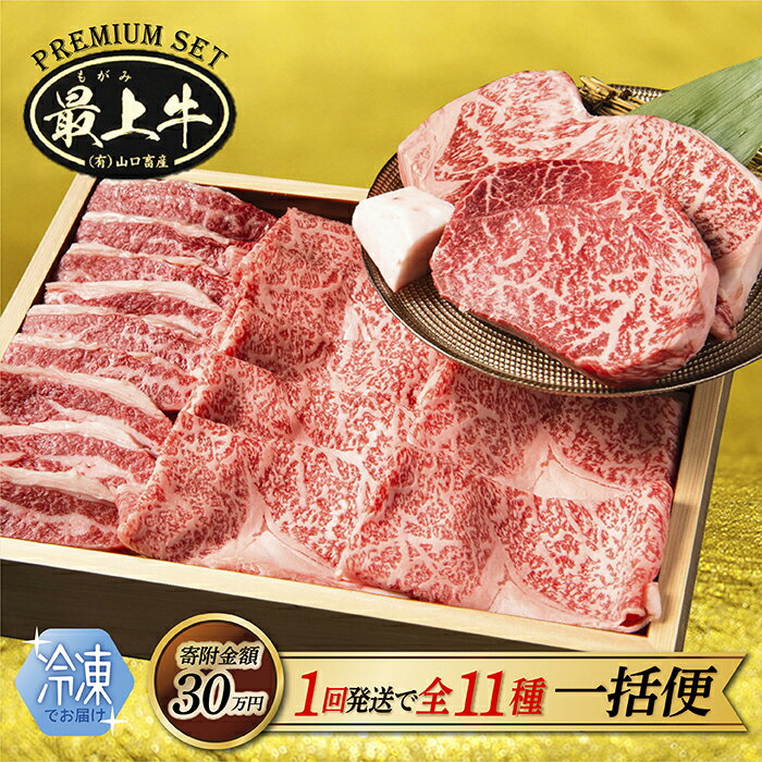 【ふるさと納税】【冷凍】【1回の配送で全11種】特選最上牛を一括でお届け