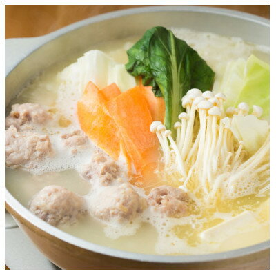 【ふるさと納税】水炊き4人前セット(大牟田市)【配送不可地域：離島】【1557963】